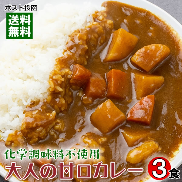 【訳あり特価】大人の甘口カレー（ビーフカレー） 3人前お試しセット 化学調味料無添加 国産野菜使用 賞味期限：2024.01.25【メール便送料無料】のサムネイル