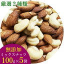 【ミックスナッツ 送料無料】厳選2種類のミックスナッツ(アーモンド&カシューナッツ) 100g×5袋まとめ買いセット【無添加・無塩・無油】