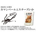 【メール便送料無料】長谷食品　カマンベール入りチーズいか　110g×2袋お試しセット　無着色 2