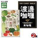 ご当地カレー 桂米團治の開運カレー&大阪堂島 渡邉カリー 黒カレー 各1食お試しセット【メール便送料無料】