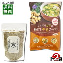 【メール便送料無料】はぎの食品 しじみだし塩(スープの素)160g&トーノー たっぷりねぎの鶏だし生姜スープ 9食入り お試しセット