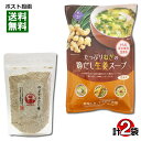 はぎの食品 のどぐろだし塩(スープの素) 160g&トーノー たっぷりねぎの鶏だし生姜スープ 9食入り お試しセット【メール便送料無料】