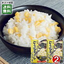井村屋 とうもろこしごはんの素 2合炊き(2〜3人前)×2袋お試しセット 炊き込みご飯の素 レトルト 簡単調理 【メール便送料無料】