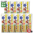 ゴールドパック 信州安曇野のりんごジュース 果汁100% 80g×9袋まとめ買いセット 凍らせるとシャーベットに【メール便送料無料】