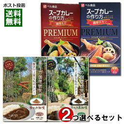 等々力カリー カレーフレーク（3～4人前分）＆スープカレーの素（4人前分）計4種類から2つ選べるお試しセット【メール便送料無料】