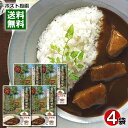 等々力カリー やさしい中辛 カレーフレーク 3〜4皿分入り×4袋詰め合わせセット 特性ブラウンルウ使用【メール便送料無料】