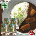 等々力カリー やさしい中辛 カレーフレーク 3～4皿分入り×4袋詰め合わせセット 特性ブラウンルウ使用【メール便送料無料】