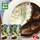 等々力黒カリー スパイシーな中辛 カレーフレーク 3〜4皿分入り×2袋お試しセット 特性ブラックルウ使用【メール便送料無料】