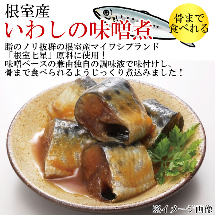北海道産 いわしの味噌煮 骨まで食べれる 95g×3袋お試しセット 兼由【メール便送料...