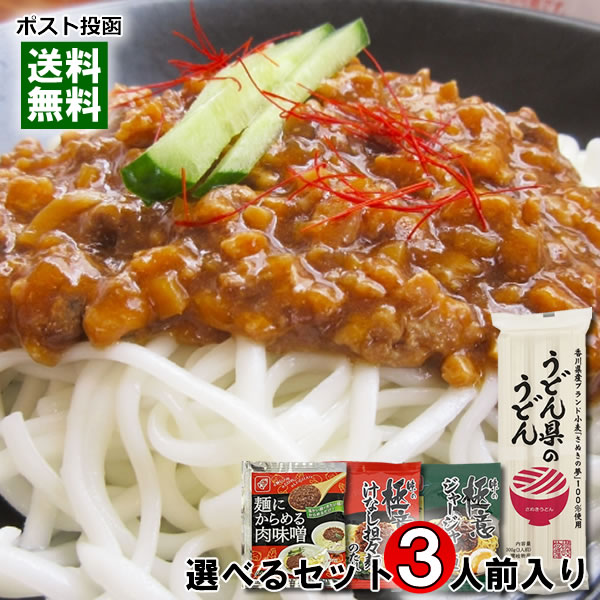 うどん県のうどん&麺にかけるだけの麺ソース 計3人前分 詰め合わせセット 讃岐うどん 乾麺 汁なし担々麺 ジャージャー麵 簡単調理 レトルト 【メール便送料無料】