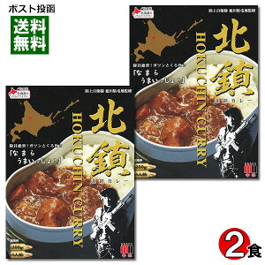 北の自衛隊 北鎮カレー 200g×2食詰め合わせセット 中辛 陸上自衛隊 旭川駐屯地監修 ベル食品 陸自カレー 自衛隊カレー ポークカレー レトルトカレー ご当地カレー 北海道【メール便送料無料】