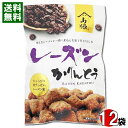 レーズンかりんとう 90g入り×12袋まとめ買いセット 保存料・酸化防止剤不使用 山脇製菓【送料無料】