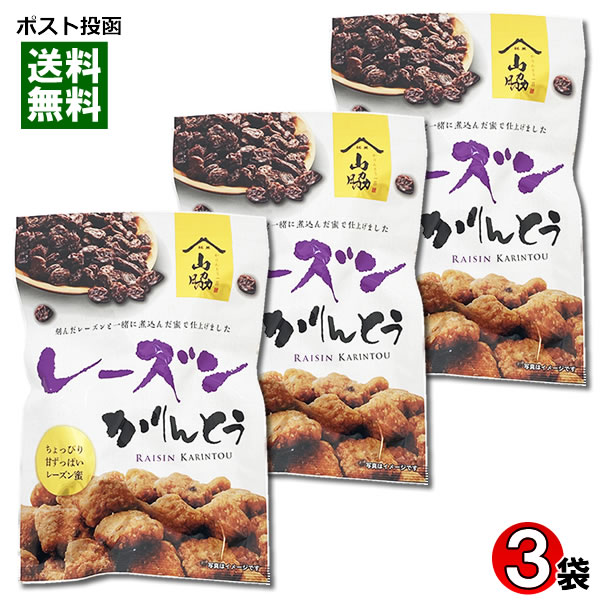 レーズンかりんとう 105g入り×3袋まとめ買いセット 保存料・酸化防止剤不使用 山脇製菓【メール便送料無料】