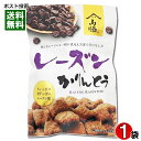レーズンかりんとう 90g入り 保存料・酸化防止剤不使用 山脇製菓【メール便送料無料】