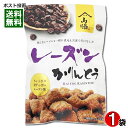 レーズンかりんとう 105g入り 保存料・酸化防止剤不使用 山脇製菓【メール便送料無料】