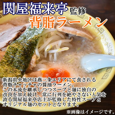 みどり商店 新潟の行列ができる人気店のご当地ラーメン 5種類から1つ+手抜薬味 ねぎ海苔 9g 計2袋詰め合わせセット【メール便送料無料】 画像2