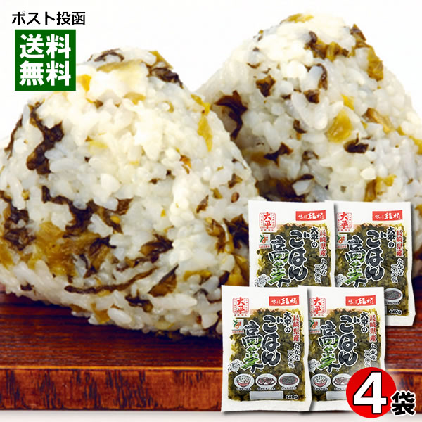 ごはん高菜 140g×4袋詰め合わせセット 長崎県産高菜100%使用 大平食品【メール便送料無料】