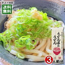 うどん県のうどん 300g（3人前） 香川県産ブランド小麦さぬきの夢100％使用 讃岐うどん 乾麺 讃岐物産 【メール便送料無料】