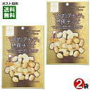 おうちバル マカダミアナッツと熟成チーズ 45g×2袋お試しセット 素焼き ロースト マカダミアナッツ おつまみ 珍味 ビールに合う チャック付き袋入り【メール便送料無料】(4)