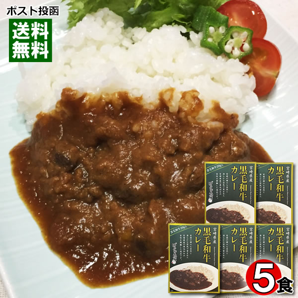 ご当地カレー 宮崎県産黒毛和牛カレー 160g×5食まとめ買いセット 高級レトルトカレー 九州 宮崎 ばあち..