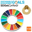 SDGs バッジ 17の目標 ピンバッジ 国連ガイドライン 小さめ SDGsバッジ サステナブル 17 目標 対応 平ら型 ゴールドフレーム 襟章 かわいい 留め具3個付き ポイント消化 送料無料