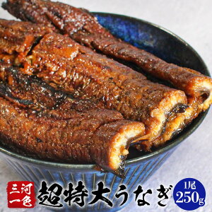 うなぎ蒲焼 三河一色産 特大 うなぎ 250g【通常包装】 うなぎ 国産 カットうなぎ 送料無料 土用の丑 誕生日 お歳暮 御歳暮 プレゼント お土産 美味しい 三河一色 鰻 蒲焼き 高級 祝い 贈り物 内祝い 退職 お取り寄せ グルメ 父の日 お中元 御中元 暑中見舞い 残暑見舞い