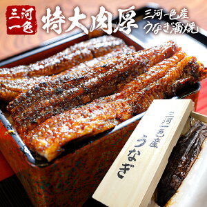 お中元 ギフト うなぎ 国産 【三河一色産】特大 うなぎ 蒲焼き 250g【桐箱入】御中元 暑中見舞い 残暑見舞い 退職 就職 引っ越し ギフト お祝い 鰻 蒲焼 誕生日 プレゼント 寒中見舞い 内祝い 送料無料 高級 祝い 贈り物 内祝い 退職 お取り寄せグルメ お歳暮 御歳暮