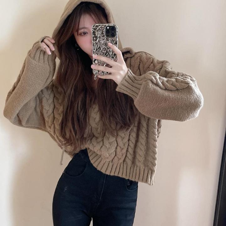 ニット レディース 秋冬 ルーズフィット Vネック ニットセーター フード付き ケーブル編み プルオーバ..