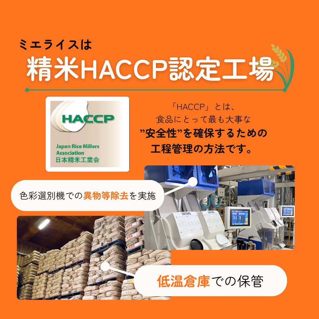 大粒でしっかりとした食感で粘りとキレのバランス、上品な甘みが特徴のお米です。　【精米】青森県産 青天の霹靂 5kg(5kg×1袋) お米 米 令和7年産
