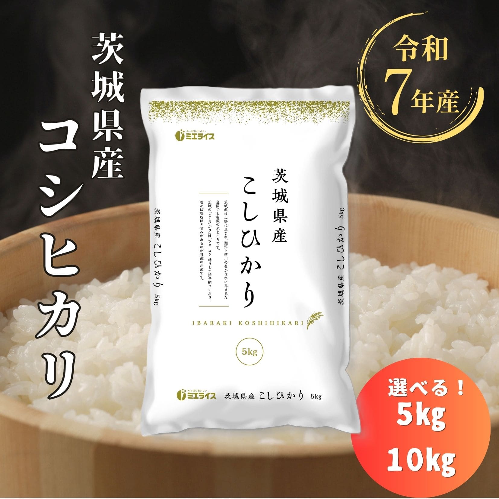 【精米】茨城県産 こしひかり 5kg 10kg 令和7年産 米 お米 単一原料米 精米 白米