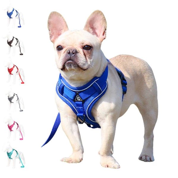 ハーネス リード 犬用 小型犬 ベスト ペット 通気性 リード ハーネスセット ドッグ...