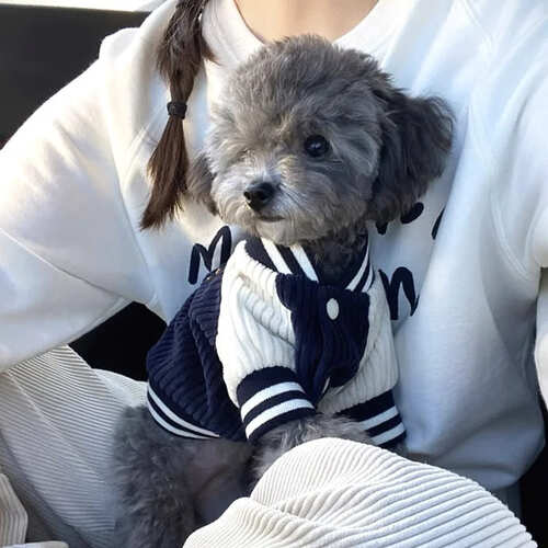犬用 コーデュロイ ジャケット アウター ベースボール スタジャン 野球 おしゃれ 春 秋 服 かわいい おもしろ 着せやすい ボタン 上着 パーカー 散歩 旅行 おしゃれ 大きいサイズ 茶色 青 暖かい 嫌がらない 韓国 ペット用品 小型犬 猫 L XL 厚手 トイプードル 長袖 送料無料 野球スタジャン風の着せやすいペットアウター 【カラー】ブルー、ブラウン【素材】コーデュロイ、ポリエステル【サイズ】■XSサイズ　チェスト：28cm　背中　　：20cm　推奨体重：0.5~1.5kg■Sサイズ　チェスト：34cm　背中　　：25cm　推奨体重：1.5~2.0kg■Mサイズ　チェスト：38cm　背中　　：30cm　推奨体重：2.5~3.5kg■Lサイズ　チェスト：44cm　背中　　：35cm　推奨体重：4.0~5.5kg■XLサイズ　チェスト：48cm　背中　　：40cm　推奨体重：5.5~9.0kg※サイズは1cm〜3cmほど誤差がある場合があります。【注意事項】・商品の細部仕様は予告なく変更になる場合がございます。・交換/返品対象外になります。・万が一、着用時に体調不良となりました際はすぐに着用をお控えください。・こちらの商品ページは海外からのお取り寄せの新品未使用品となります。・検品のため一度開封してある場合がございます。・外箱や梱包材に輸送中の傷や凹み等ある場合がございます。 2