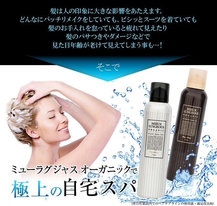 ●公式●　ミューラグジャス　MIEUX LUXGEOUS　炭酸シャンプー2本＋ペーパーバッグ02