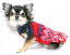 Hip Doggie/ҥåץɥMuttsoni Lace Dressѥ졼ɥ쥹