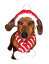 ★Dallas Dog/ダラスドッグ★Red Holiday Hat & Candy Cane Scarf犬用マフラー&ニット帽セット