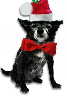 Christmas Red Bowtie Collars