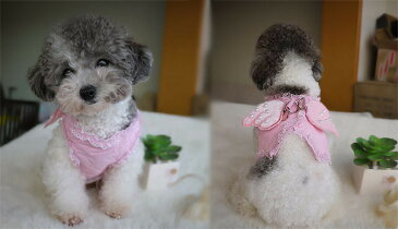 Angel Wing Harness犬用エンジェルウィングハーネス