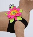 ★Susan Lanci★スーザンランシーIsland Flower Harness_ブラックフラワ ...