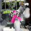 ★Susan Lanci★スーザンランシーWindsor Check Harnessチェック柄ハーネス