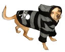 ★Hip Doggie/ヒップドギー★Super Soft Skull Hoodie犬用スカル柄フーディー