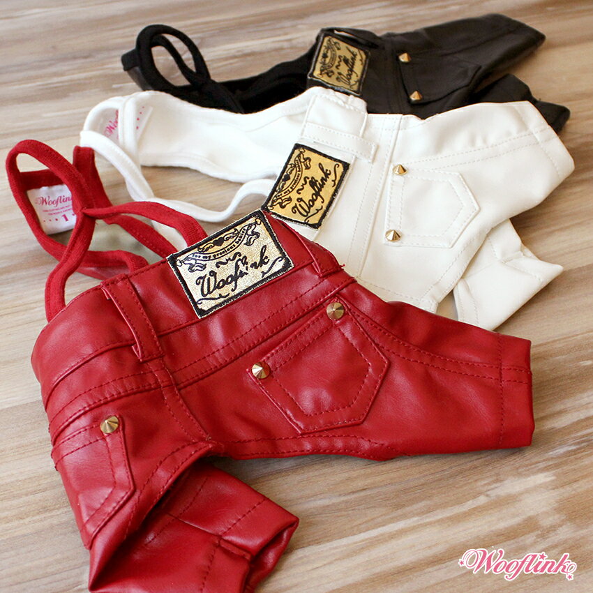 Wooflinkʥե󥯡ROCK STAR IN TOWN PANTSѥե쥶ѥ