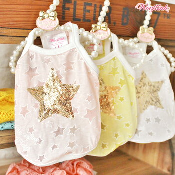 Wooflinkʥե󥯡SHINING STARѥߥ
