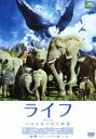 ライフ -いのちをつなぐ物語- ＊セルDVD スタンダード・エディション [DVD]