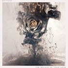 輸入盤 EDITORS / WEIGHT OF YOUR LOVE （2LP＋CD／LTD） [2LP＋CD]