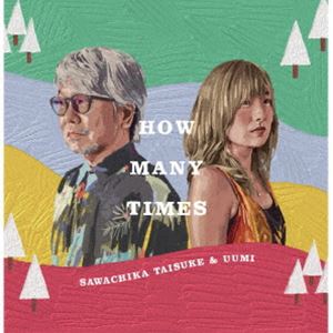 HOW MANY TIMES / HOW MANY TIMES [CD]