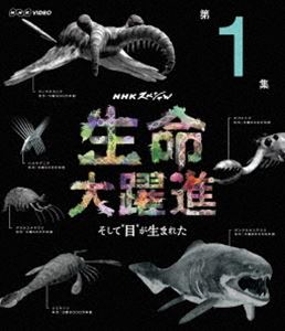 詳しい納期他、ご注文時はお支払・送料・返品のページをご確認ください発売日2015/9/25NHKスペシャル 生命大躍進 第1集 ジャンル 国内TVドキュメンタリー 監督 出演 40億年前の地球最初の生命から私たち人間にまで、一度も途切れることなくつながっている命の記録、DNA。その中には私たちの祖先にあたる古代生物たちの確かな“痕跡”が残されている。想像を絶する大絶滅を乗り越え、進化の大躍進を遂げてきた“私たちの物語”とは。DNA研究などによる科学ドキュメンタリーと、その成果に基づく太古世界のCGを駆使して、私たちの祖先に起こった“目の誕生”の驚きのドラマに迫る!関連商品NHKドキュメンタリー人類の進化NHKスペシャル一覧 種別 Blu-ray JAN 4988066212017 収録時間 58分 カラー カラー 組枚数 1 製作年 2015 製作国 日本 字幕 日本語 音声 日本語リニアPCM（ステレオ） 販売元 NHKエンタープライズ登録日2015/07/10