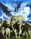 詳しい納期他、ご注文時はお支払・送料・返品のページをご確認ください発売日2012/2/3ライフ -いのちをつなぐ物語- ＊セルBlu-Ray プレミアム・エディション ジャンル 洋画ドキュメンタリー 監督 出演 製作期間6年、製作費35億円、陸・海・空全ての動物を捉えた圧巻の映像美!BBC史上最大のネイチャードキュメンタリー!動物と同じ目線で撮影され、まるで自分が動物になったような気持ちになれる大人から子供まで誰でも楽しめる映画。プレミアム・エディションでは、最新鋭カメラ・驚異の撮影テクニックを駆使したメイキングなど100分を超える特典映像も収録。封入特典豪華三方背ケース仕様／4Cピクチャーディスク仕様／特製ブックレット／ロケーションマップ／フォトカードセット（5枚）／特典ディスク特典ディスク内容メイキング／カメラマンインタビュー／フィルムメーカー（監督・スタッフ）インタビュー／レコーディングシーン／撮影風景／ボーナスショット関連商品2011年公開の洋画BBCネイチャードキュメンタリー 種別 Blu-ray JAN 4988064494019 収録時間 88分 カラー カラー 組枚数 2 製作年 2011 製作国 イギリス 字幕 日本語 音声 日本語（5.1ch）（5.1ch） 販売元 エイベックス・ピクチャーズ登録日2011/11/11