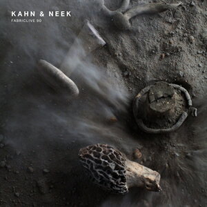 輸入盤 KAHN ＆ NEEK / FABRICLIVE 90 CD