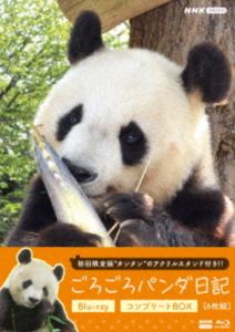 ゴロゴロパンダニッキ2026/2/14 AM 7:59まで初回分予約受付中！詳しい納期他、ご注文時はお支払・送料・返品のページをご確認ください発売日2026/3/27関連キーワード：ドキュメント ブルーレイごろごろパンダ日記 コンプリートBlu-ray BOX（アクリルスタンド付き初回限定版）ゴロゴロパンダニッキ ジャンル 国内TVドキュメンタリー 監督 出演 鬼頭明里阪神・淡路大震災で傷ついた人たちを癒す復興のシンボルとして2000年に来日したタンタン。その愛くるしい姿は、被災して暗い気持ちにいる人たちを明るく照らし、28歳（人間における100歳近く）まで生きた。数々の困難に直面しながらも、二人の飼育員に支えられながら懸命に生きる姿は、人々に勇気と希望を与えた。バックヤードに密着した膨大な映像とともに、タンタンが神戸で過ごした日々を振り返るドキュメンタリー。封入特典タンタンのメモリアルアクリルスタンド 種別 Blu-ray JAN 4988066250026 収録時間 504分 カラー カラー 組枚数 6 製作国 日本 音声 リニアPCM 販売元 NHKエンタープライズ登録日2025/12/22