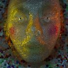 GALAPAGOS詳しい納期他、ご注文時はお支払・送料・返品のページをご確認ください発売日2013/2/26POST WAR YEARS / GALAPAGOSポスト・ウォー・イヤーズ / ガラパゴス ジャンル 洋楽その他 関連キーワード ポスト・ウォー・イヤーズPOST WAR YEARSジェームス・ラトリッジ（MGMT、マイ・ブラッディー・ヴァレンタイン）プロデュースによるUKエレクトロ・ロックのニューカマー、ポスト・ウォー・イヤーズ!ポスト・ウォー・イヤーズは2008年、イギリス中部の都市レミントン・スパでSimon、Henry、Tom、Fredで結成された4ピースバンド。2009年にアルバム『The Greats and the Happenings』をリリースしており、これはラフ・トレード好きな音楽ファン等を中心に「2009年にリリースされた最も革新的なデビューアルバム」として一躍注目を集めた。その後バンドはRCAと契約しベースをロンドンに移して、今作に向けて活動してきた。制作に当たってはプロデューサー、リミキサーとしても知られるジェームス・ラトリッジ（MGMT、グリズリー・ベア、マイ・ブラッディー・ヴァレンタインほか）をプロデューサーに迎えた。第一弾シングル「All Eyes」はリッチ・コスティー（Muse／Bloc Party／Rage Against the Machine／Interpol）がミックスを手掛けており、その完成度の高さからメジャー進出で彼らが新たな段階に突入したことを印象付けた。シンセが牽引するエレクトロ・ロック。ドリーミーで、オーディエンスを異次元に連れていくような奥行きもある。脈々と続くUKエレクトロ・ロックの系譜に、新たな1ページが加わる。収録内容1. All Eyes2. The Bell3. Glass House4. Be Someone5. Growl6. Lost Winter7. Mellotron8. Volcano9. Nova10. God 種別 CD 【輸入盤】 JAN 0887654358028 登録日2013/02/01